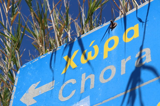 Private Tour: Mykonos Island in Half a Day - Little Venice and Kato Milli windmills
