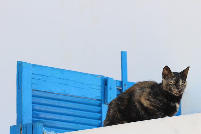 Private Tour: Mykonos Island in Half a Day - Ano Mera and Panagia Tourliani
