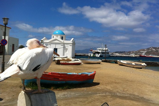 Private Tour: Mykonos Island in Half a Day - Beaches, colors, and the unnamed archaeological stop
