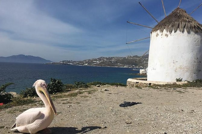 Private Tour: Mykonos Island in Half a Day - How the private format changes the day