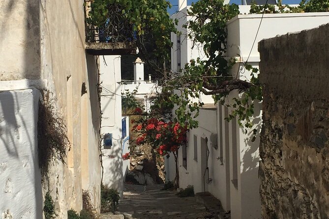 Private Tour on Paros Island - Starting in Naousa among the fishing boats