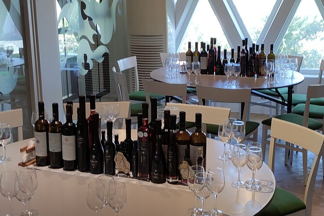 Private Wine Tour in 3 Wineries with 12 Wine Tastings and Tapas - Private Mercedes transport and pickup details