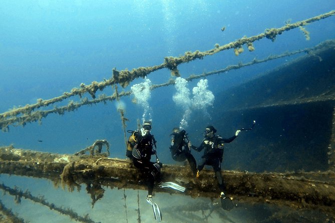 Qualified Diver 1 Tank Dive in Mykonos - What your three hours at Paradise Beach look like
