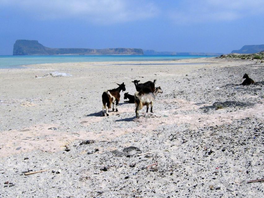 Rethymno: Gramvousa & Balos Lagoon Day Trip with Boat Ticket - Ninety minutes at Gramvousa