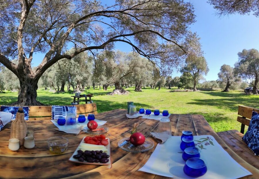 Rethymno: Olive Oil Tasting with Cretan Food Pairing - How much value do you get for $107?