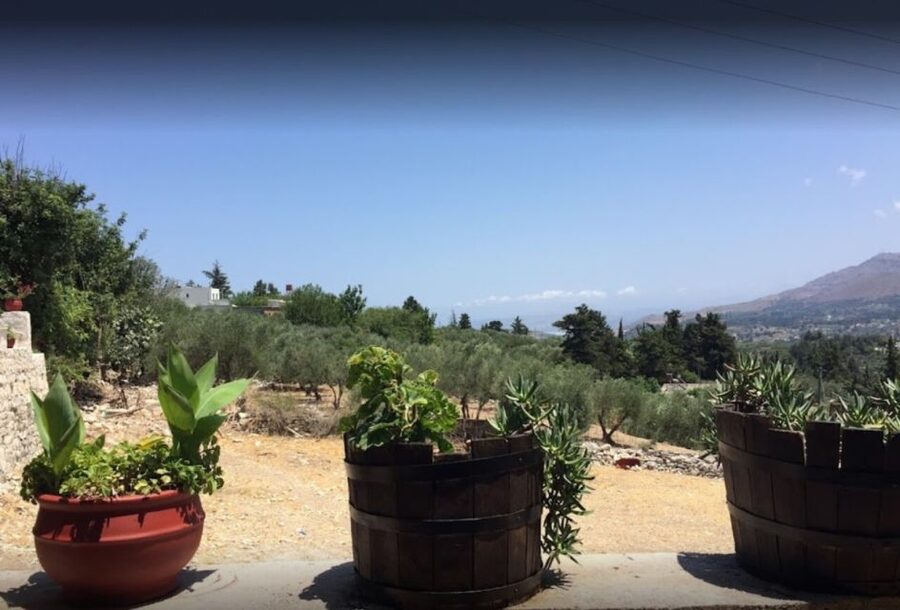 Rethymno: Private Winery & Olive Oil Tasting Tour with Lunch - Why this tour works for food and wine lovers