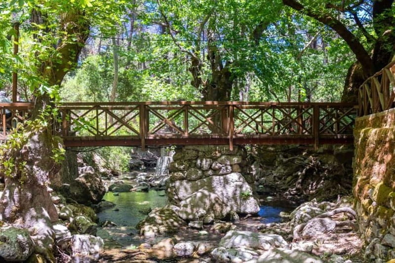 Rhodes: Butterfly Valley and Filerimos Hill Bus Trip - Coach comfort, roads, and the real value of $23