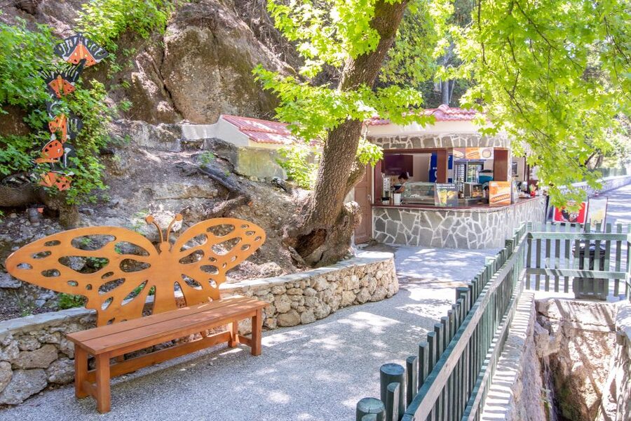 Rhodes: Butterfly Valley and Seven Springs Valley Day Trip - Transport, pickup, and the driver’s role