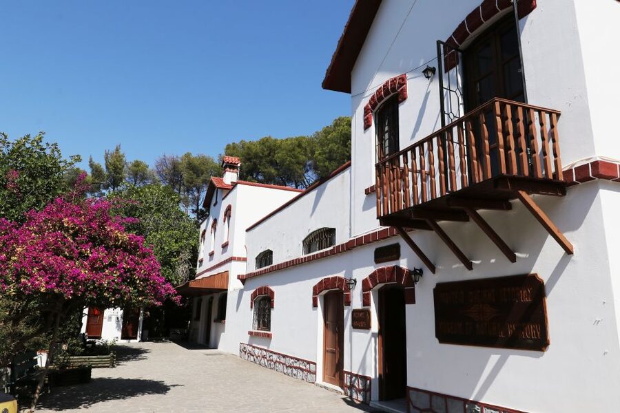 Rhodes: Butterfly Valley and Seven Springs Valley Day Trip - Who should book this Rhodes day trip?