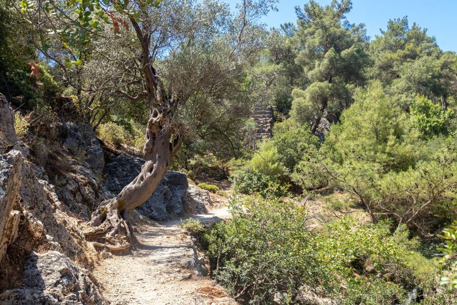 Rhodes: Butterfly Valley and Seven Springs Valley Day Trip - Should you book it?