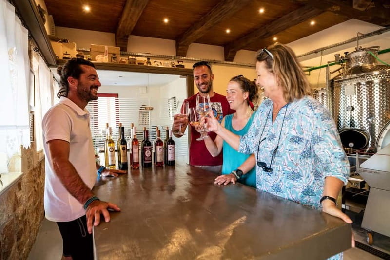 Rhodes: Cooking Lesson and Wine Tasting with Lunch - Who will get the most from this food tour?