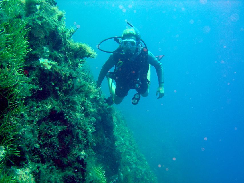 Rhodes: Diving Adventure for Beginners and Experts - Starting at Mandraki Harbour or the SEA Shuttle