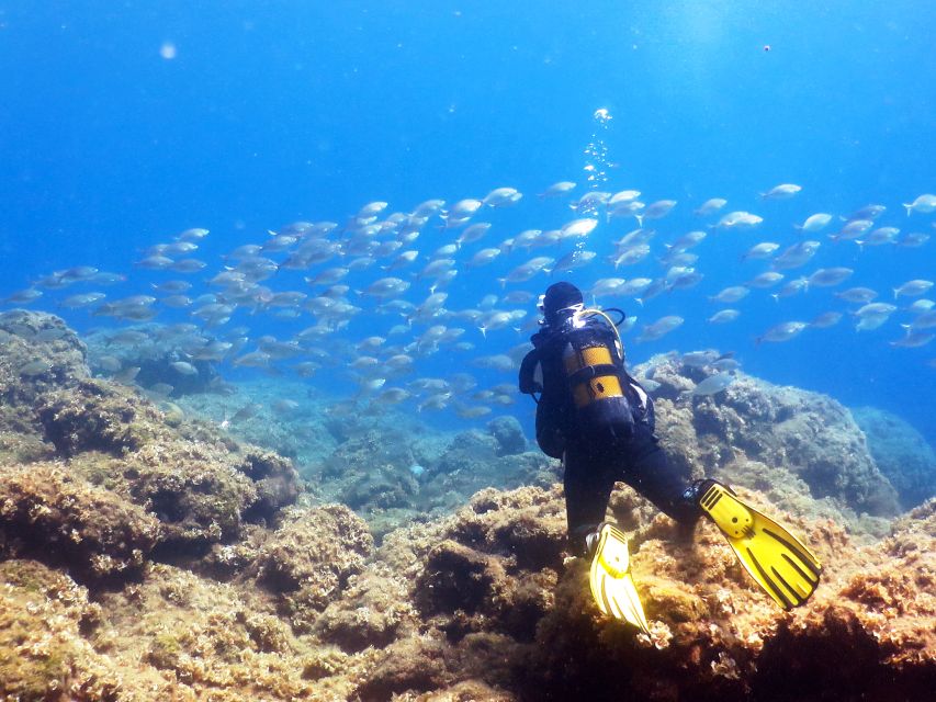 Rhodes: Diving Adventure for Beginners and Experts - The trip to Kalithea and its rocky underwater setting