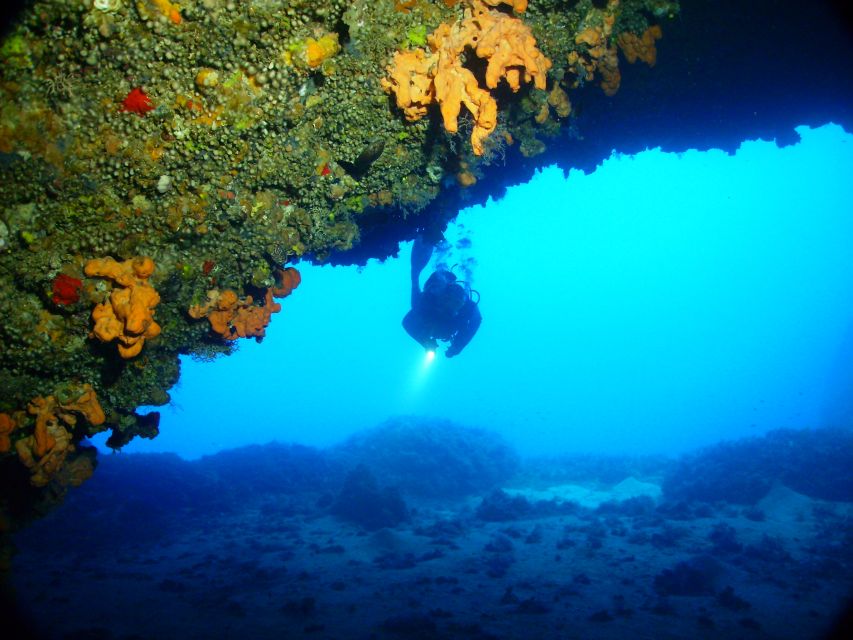 Rhodes: Diving Adventure for Beginners and Experts - The instructors and languages