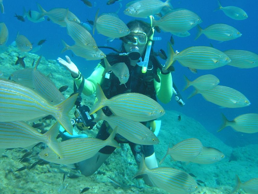 Rhodes: Diving Adventure for Beginners and Experts - Registration, safety, and the first practice