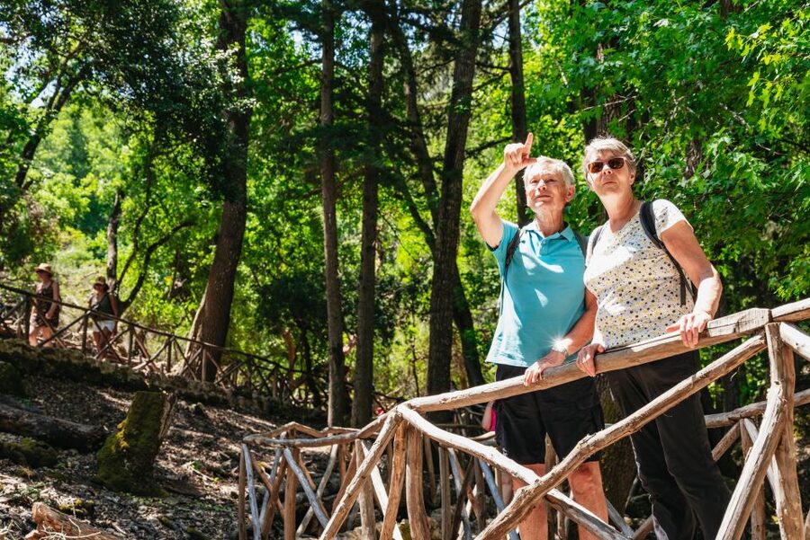Rhodes: Filerimos Hill and Butterfly Valley Bus Trip - Is $31 good value?