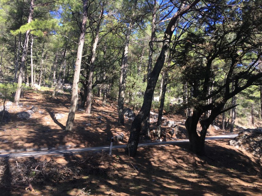 Rhodes: Full–Day 4WD Northern Safari Tour - Why this 4WD day shows you the real Rhodes