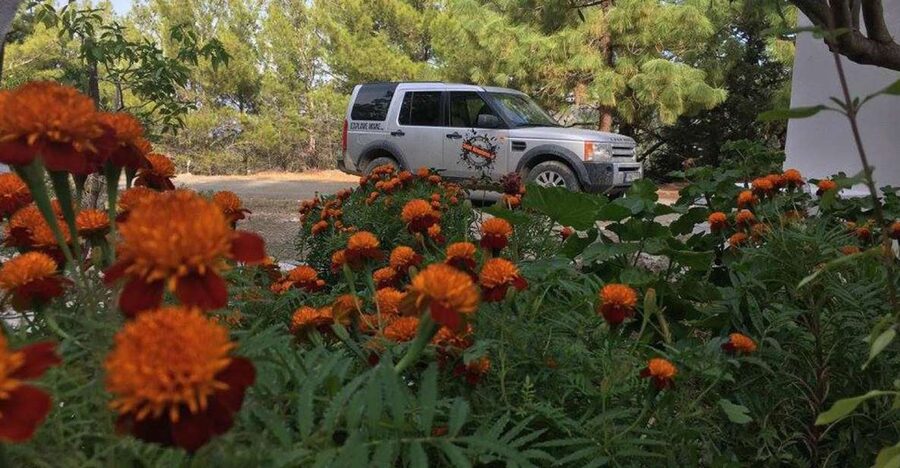 Rhodes: Full–Day 4WD Northern Safari Tour - The return to Rhodes takes the easier road