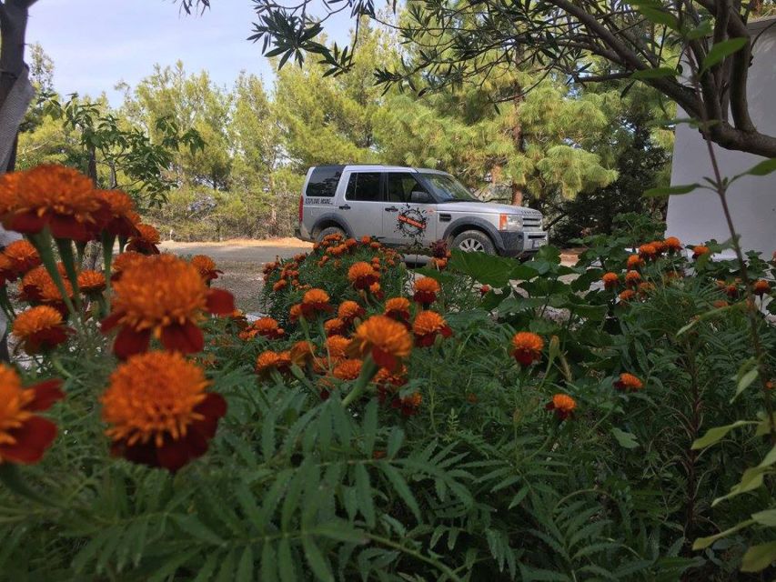 Rhodes: Full–Day 4WD Northern Safari Tour - Comfort, safety, and who should book