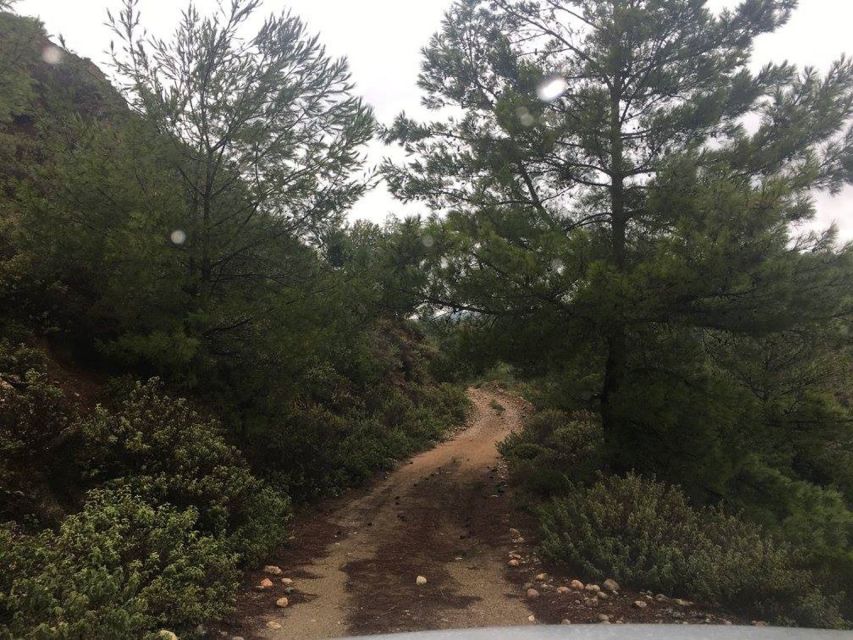 Rhodes: Full–Day 4WD Northern Safari Tour - The guides can make or break the day
