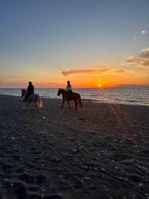 Rhodes: Horseback Riding Trip with Digital Photos - Leaving the ranch and meeting the horses