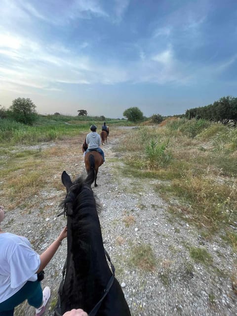 Rhodes: Horseback Riding Trip with Digital Photos - What the riding feels like for beginners