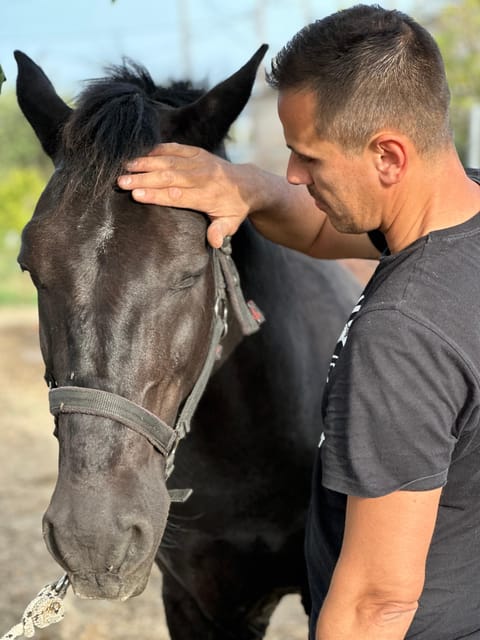 Rhodes: Horseback Riding Trip with Digital Photos - The value of $90 per person