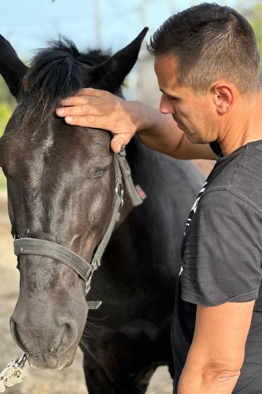 Rhodes: Horseback Riding Trip with Digital Photos - How the horses and staff shape the experience