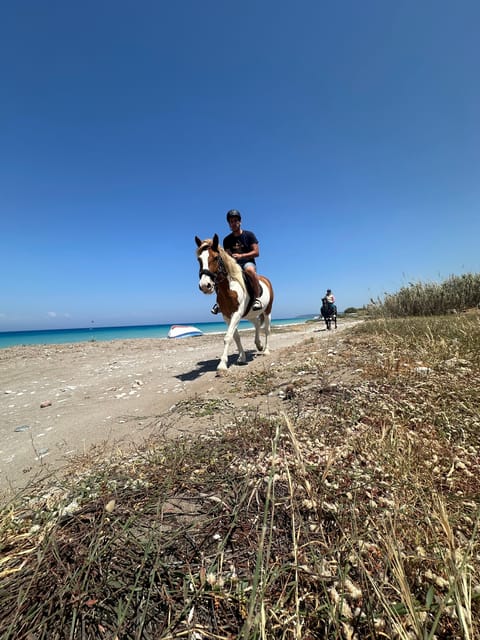 Rhodes: Horseback Riding Trip with Digital Photos - Through olive trees and Rhodes countryside