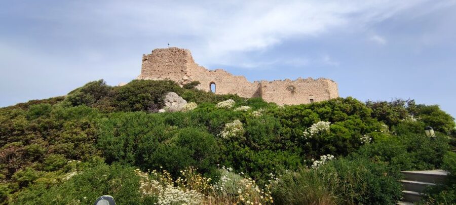 Rhodes: Kamiros, Embona, Mt. Profitis Ilias & Kallithea Tour - The minibus, timing, and comfort
