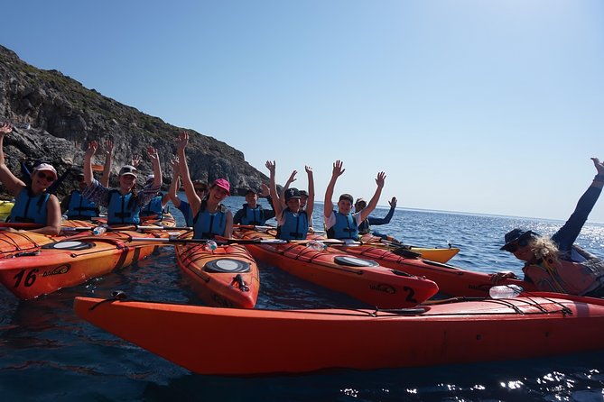 Rhodes Sea Kayaking Tour - What the $108.84 price includes