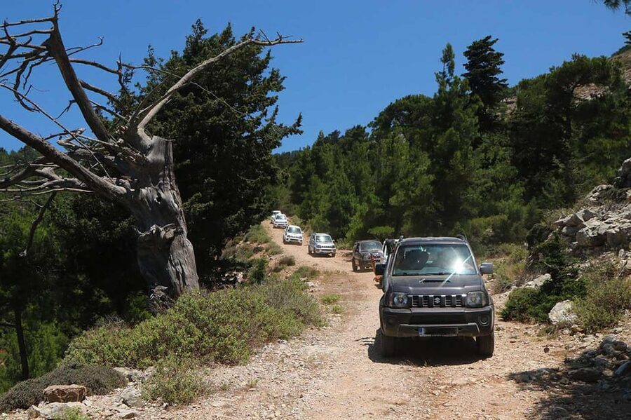 Rhodes: Self-Drive 4x4 Safari Tour with North Pickup - Taking the wheel across Rhodes