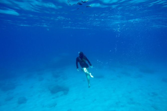 Rhodes: Stand Up Paddle & Snorkel Adventure - Snorkeling in the warm Mediterranean