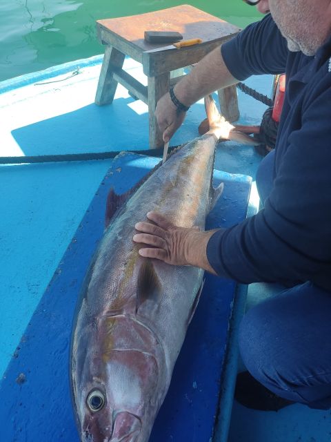 Rhodes Town: Fishing Boat Trip with Fish Meal and Swim Stops - Key details before you book