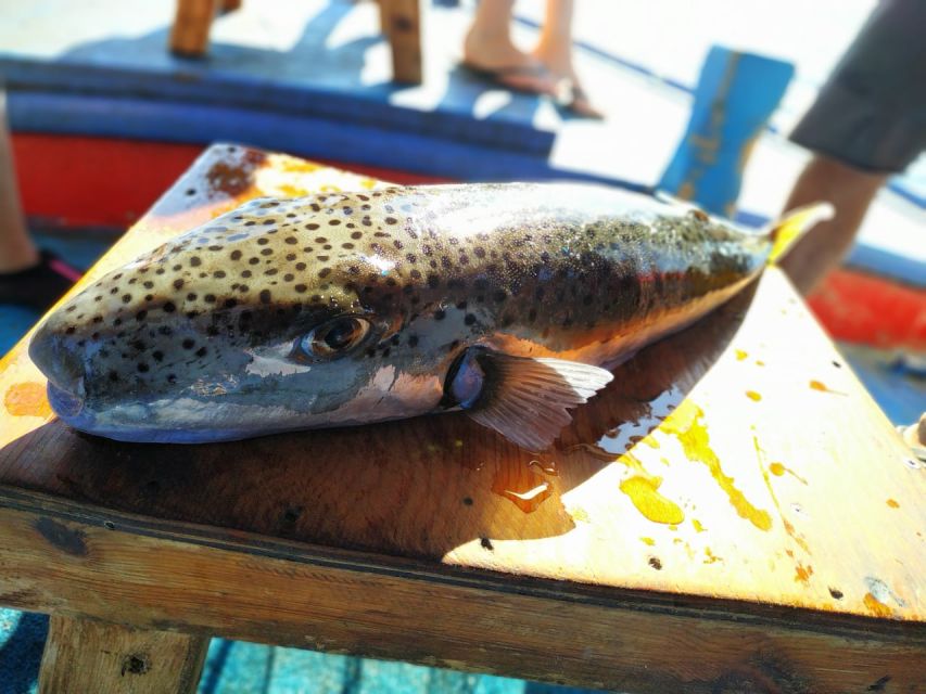 Rhodes Town: Fishing Boat Trip with Fish Meal and Swim Stops - Why this Rhodes boat trip feels different