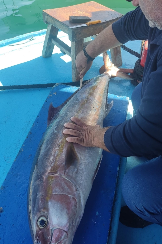 Rhodes Town: Fishing Boat Trip with Fish Meal and Swim Stops - Practical tips for a smoother outing