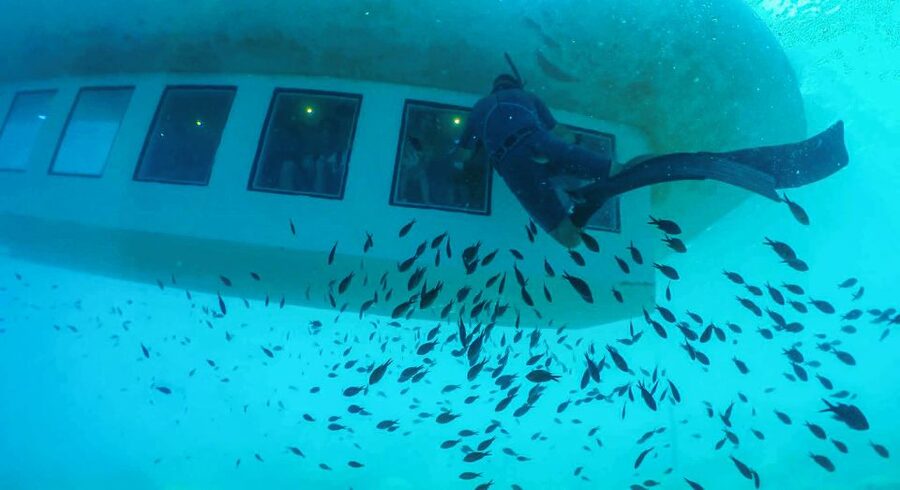 Rhodes Town: Submarine Cruise with Underwater Views - The underwater show and the fish-feeding session