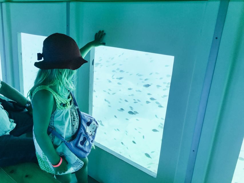 Rhodes Town: Submarine Cruise with Underwater Views - Who will enjoy this cruise most?