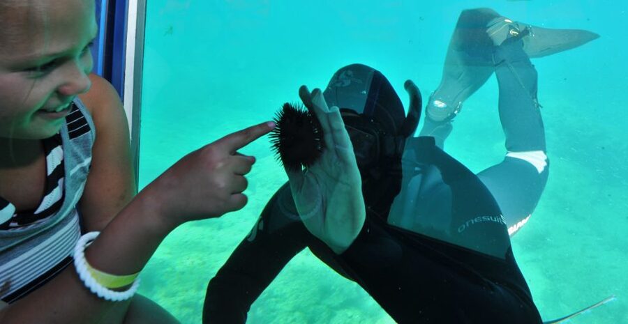 Rhodes Town: Yellow Submarine Cruise with Underwater Views - What the Yellow Submarine really is