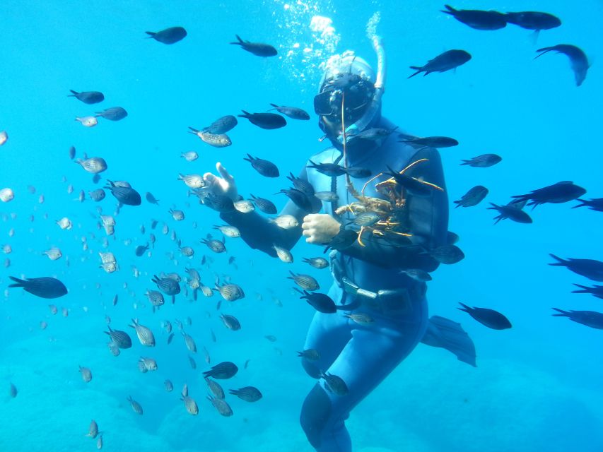 Rhodes Town: Yellow Submarine Cruise with Underwater Views - Meeting near the Rhodes Courthouse