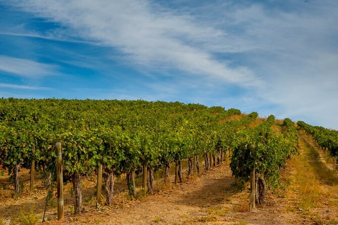 Rhodes Wine & Food Tour: 10 Meal Course Lunch, Wine Tasting, Cooking Class - Transfers and cruise-port planning