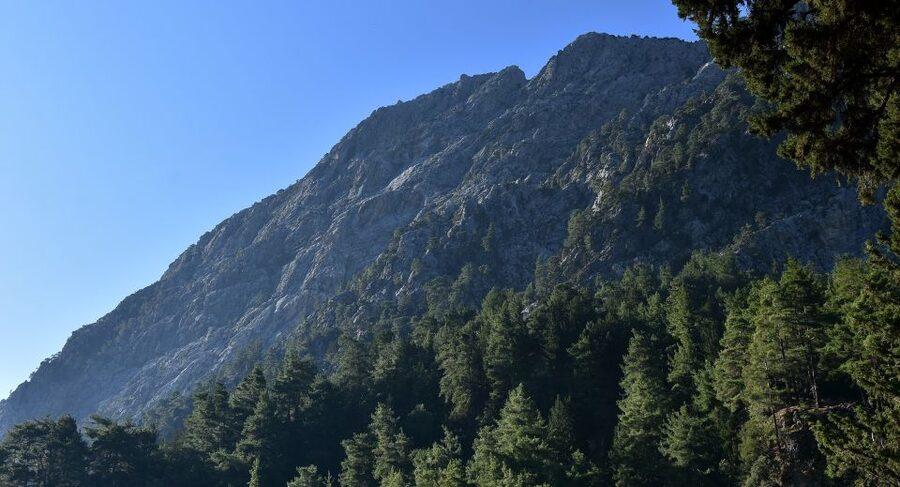 Samariá Gorge Hike: Day Excursion from Chania - Walking the Rocky Route