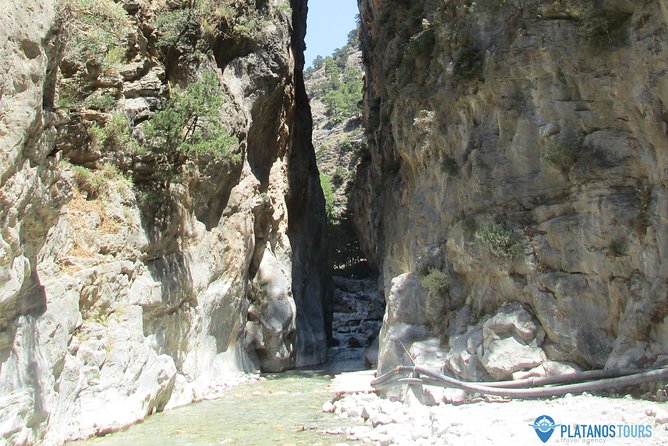 Samaria Gorge Trek: Full-Day Excursion from Rethymno with Guide - What the $38.45 price really covers