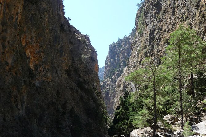 Samaria Gorge Trek: Full-Day Excursion from Rethymno with Guide - Who should book this hike