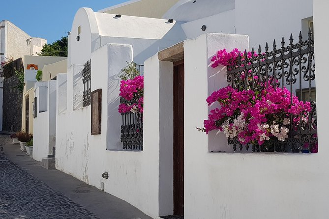 Santorini: 6hr Small Group Shore Excursion Villages & Wine - Guides, drivers, and the small-group feel