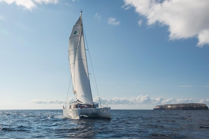 Santorini Caldera Sailing Tour with BBQ Lunch and Drinks - The BBQ lunch is a serious part of the value