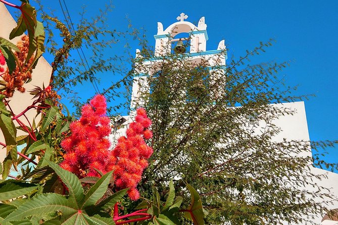 Santorini Day Tour with Sunset in Oia - Profitis Ilias and the island’s high views