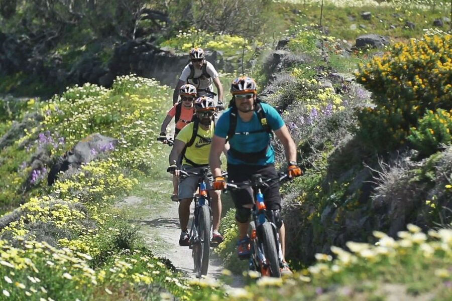 Santorini: Electric Mountain Bike Adventure - Fitness, safety, and who should ride