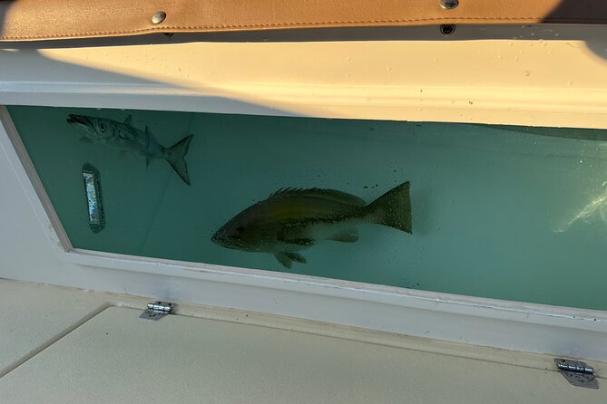 Santorini Fishing Private Cruise boat tour - BBQ, Snorkeling - What the five-hour schedule really gives you