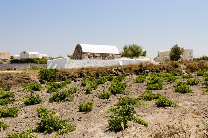 Santorini Highlights and Venetian Castles Small-Group Day Tour - Emporio shows Santorini’s best-preserved castle quarter